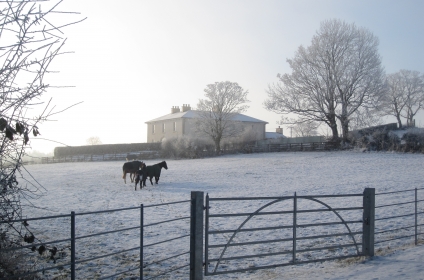 A Frosty Morning at This Neo-Georgian Country House A Frosty Morning at This Neo-Georgian Country House